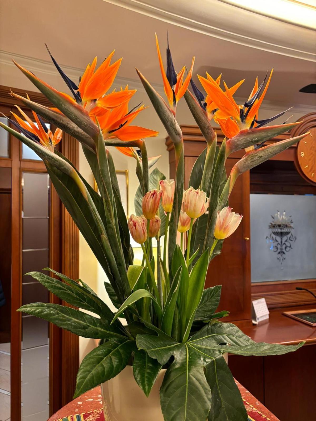 Hotel Valle Rossa San Giovanni Rotondo Eksteriør bilde